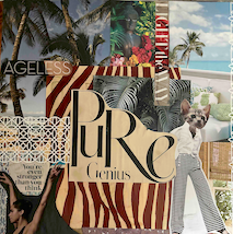 The Paper Seahorse Classes Saturday February 14th 2026 10a - 12p Cats With Scissors: Visualization Boards