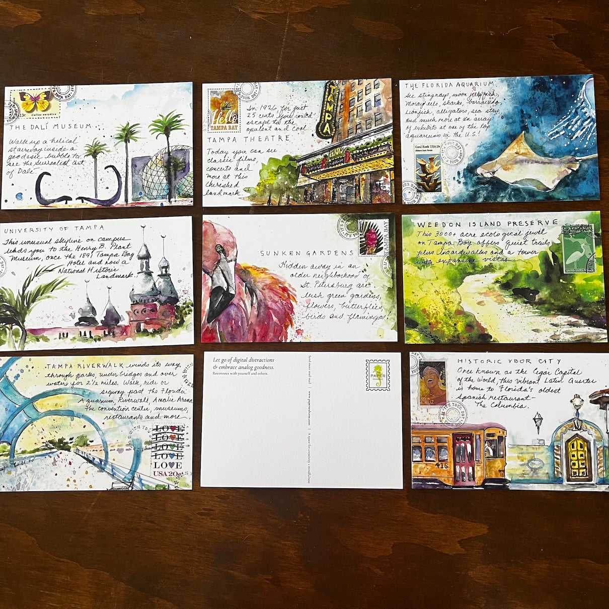 The Paper Seahorse Post Cards I Love Tampa Bay Postcard Set