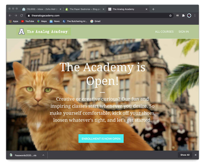 Introducing The Analog Academy by The Paper Seahorse