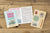 Traveler's Company Japan Midori Traveler's Notebook Refills 2026 TRAVELER'S Notebook Monthly Diary Refill - Passport Size by TRAVELER'S COMPANY