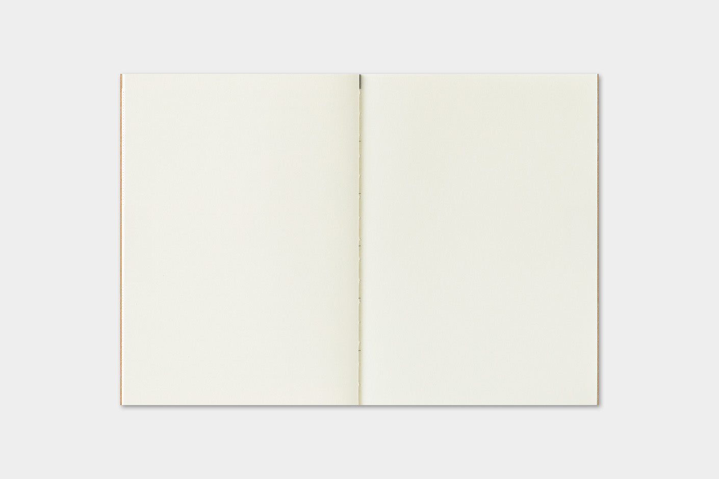 Traveler's Company Japan Midori Traveler's Notebook Refills 2026 TRAVELER'S Notebook Monthly Diary Refill - Passport Size by TRAVELER'S COMPANY