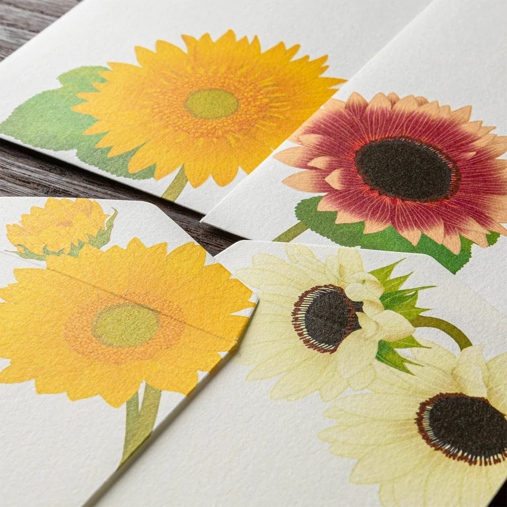 Sunflower Envelopes