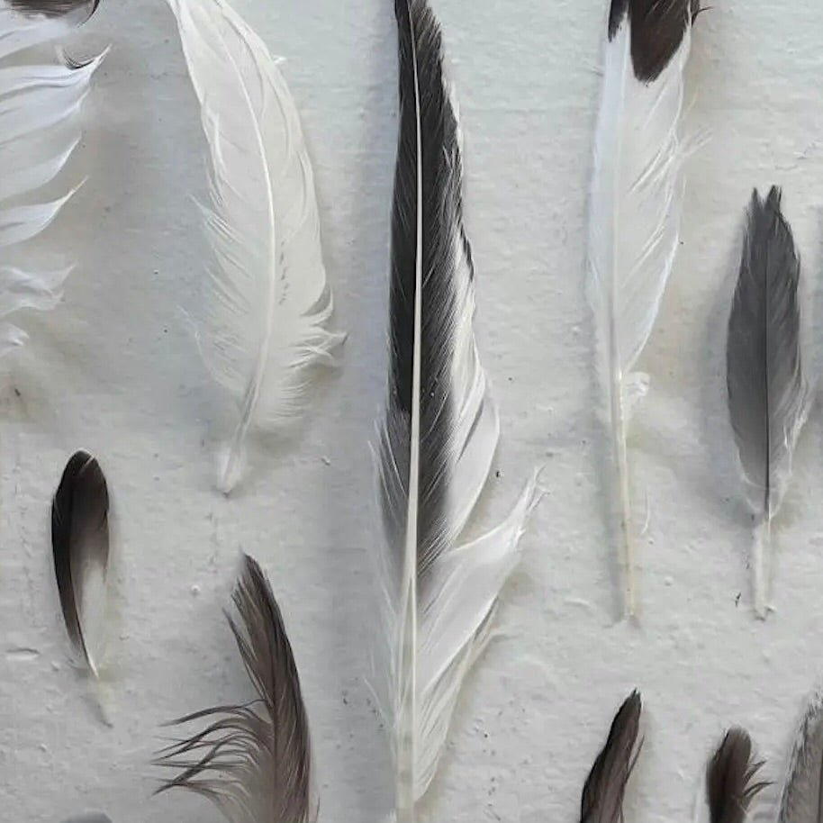 SPECIAL EVENT: Grateful Gathering for Stress Relief, Community + Connection