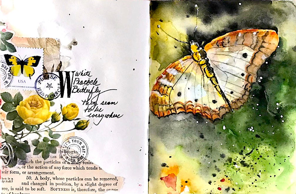 The Paper Seahorse Class November 15th 1 PM to 3 PM Creative Playground with Ladyfish Pirate