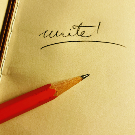 The Paper Seahorse Classes Saturday January 17th 2026 2p - 4p Explorations in Creative Writing