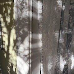 The Paper Seahorse Classes Sunday January 18th 2026 10a - 12p Finding Neutral