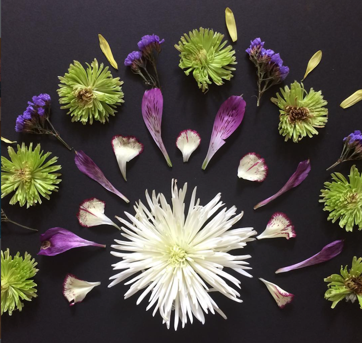 The Paper Seahorse Classes May 2nd 2026 1 - 3p Flower Mandalas