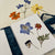 The Paper Seahorse Class April 5th 2025 1 - 4pm Flower Press & Dried Flowers