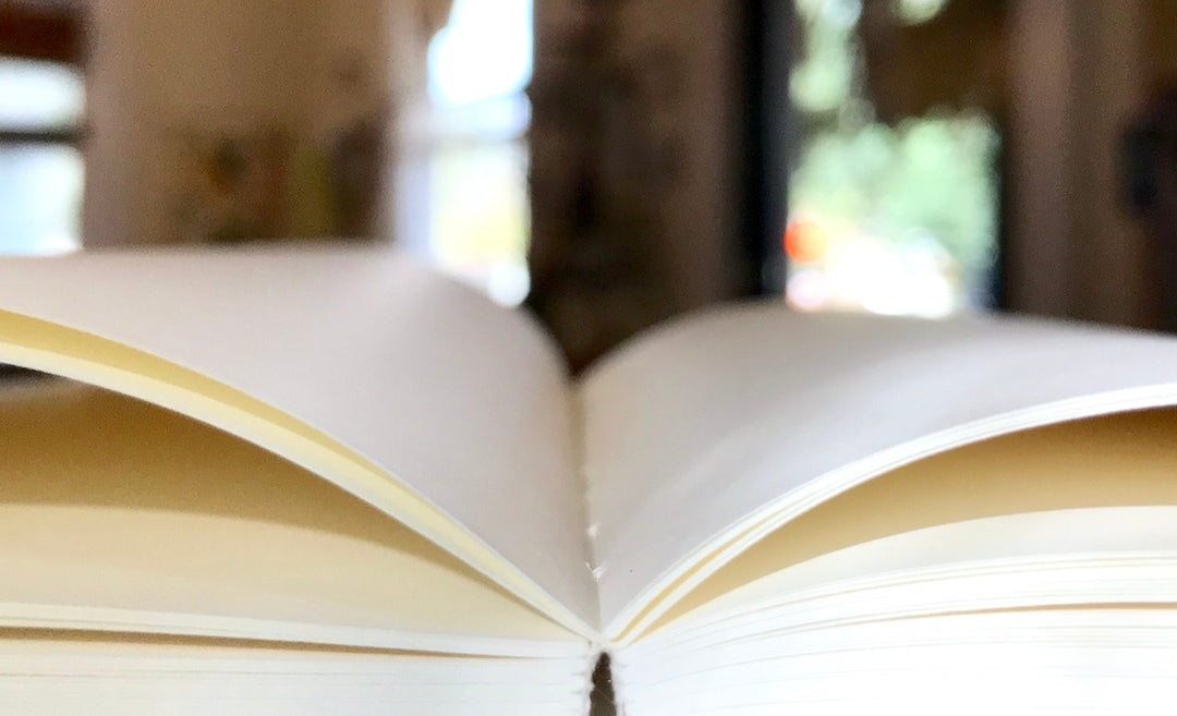 The Paper Seahorse Class January 10th 2026 Saturday 10a - 12p Goal Planning for a Life Well Lived