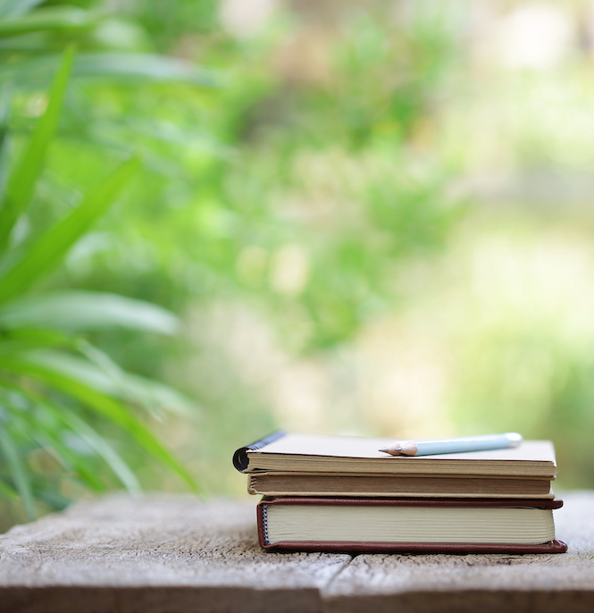 The Paper Seahorse Classes Saturday February 14th 2025 10a - 12p Journaling + Tea Tasting Experience