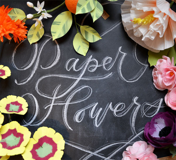 The Paper Seahorse Class May 9th 2026 10 - 12:30p Paper Flowers