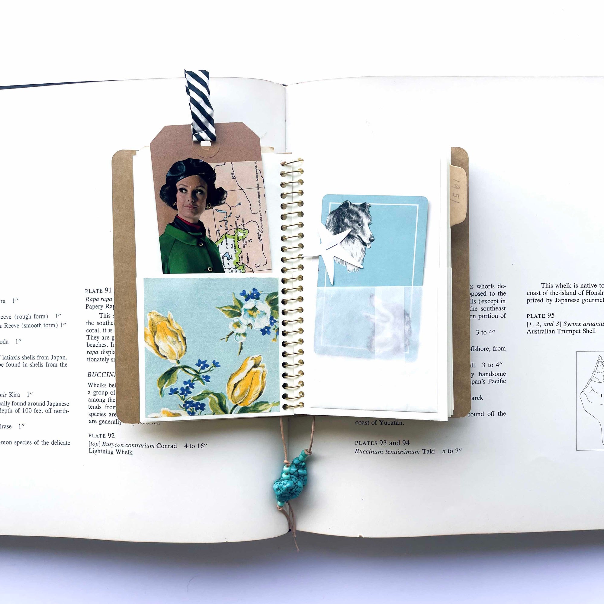 The Paper Seahorse Class June 21st 2025 1:30 - 4:30p Paper Pocket Journaling