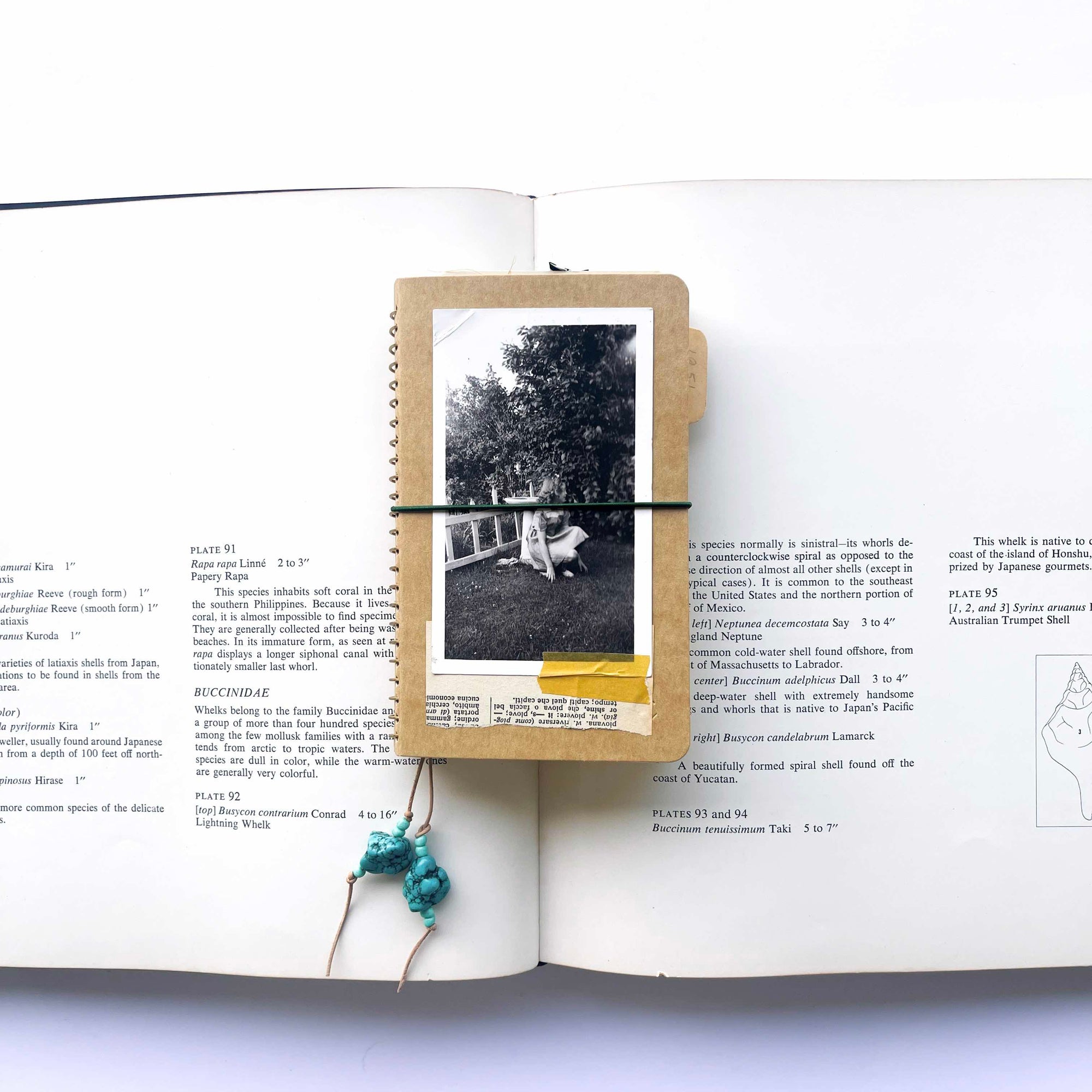 The Paper Seahorse Class June 21st 2025 1:30 - 4:30p Paper Pocket Journaling