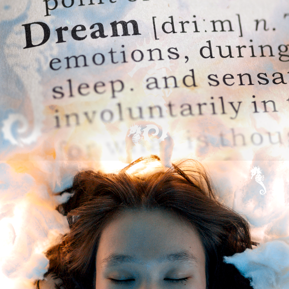 R. Scott Rosenthal one on one sessions Philosophical Counseling (90 Minute Introductory Session)