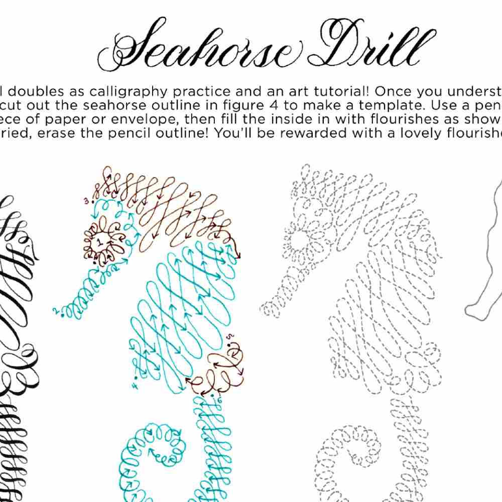 The Paper Seahorse Accessories The Postman's Knock x The Paper Seahorse Calligraphy Drills