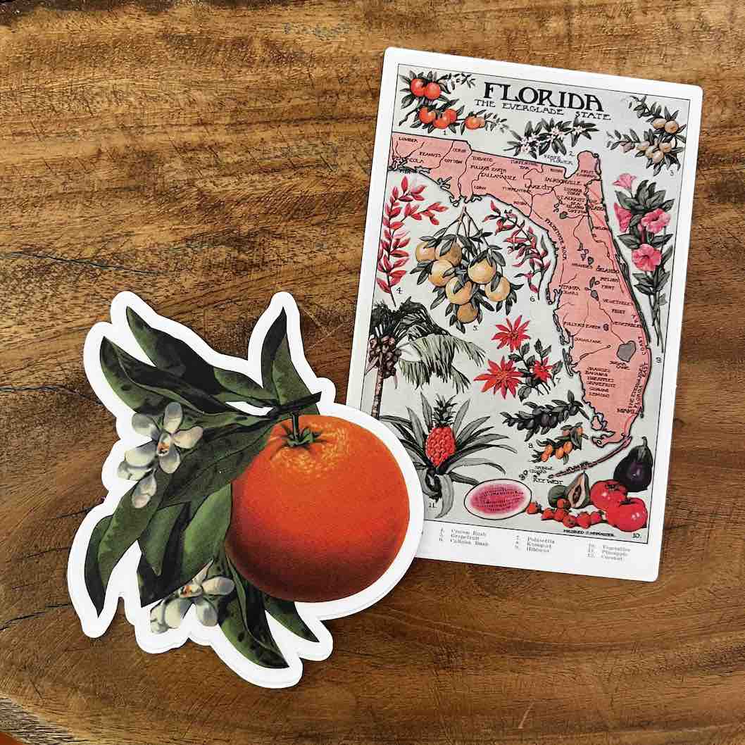 Pergamo Paper Goods sticker Florida Themed Stickers: Pergamo Paper Goods