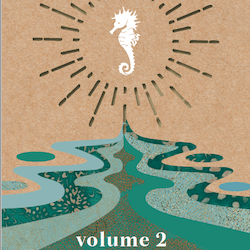 The Paper Seahorse Magazine Hippocampus Volume No. II