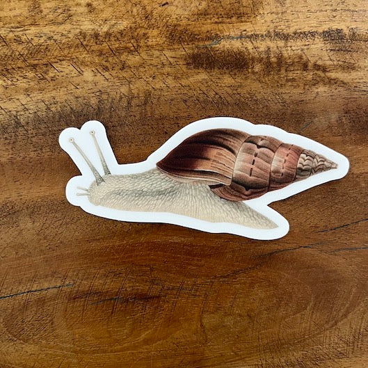 Pergamo Paper Goods sticker Snail Paper Seahorse Tropical Themed Stickers: Pergamo Paper Goods